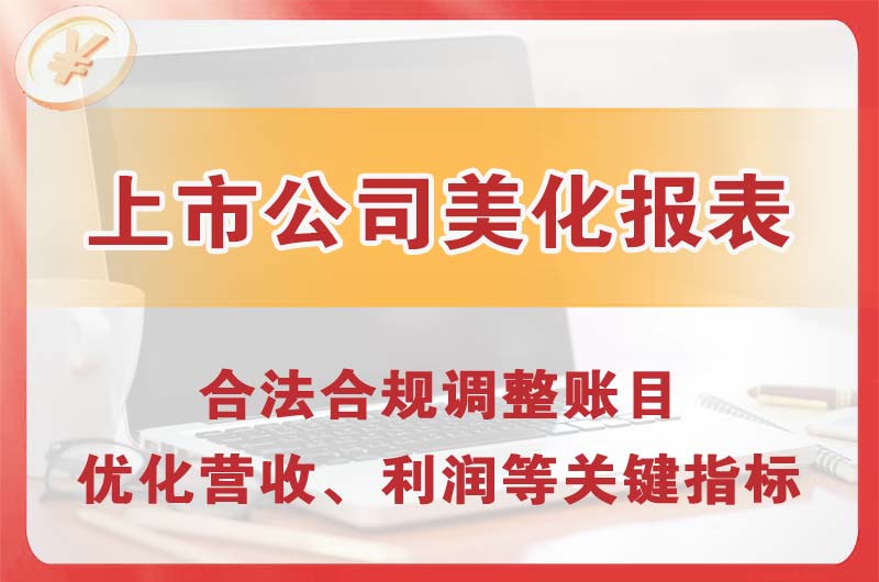 晋源上市公司美化报表